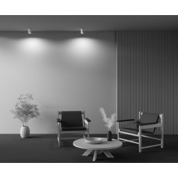 Потолочный светильник Maytoni Conik Gyps C003CW-01W