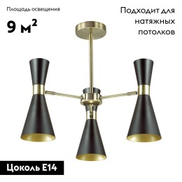 Потолочная люстра Lumion Quinn 3662/3C