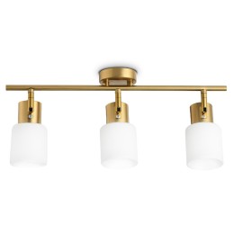 Спот Ambrella Light Traditional TR3972