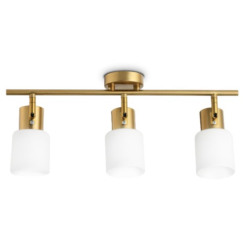 Спот Ambrella Light Traditional TR3972