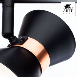 Спот Arte Lamp Baltimore A1406AP-2BK