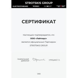 Потолочная люстра Eurosvet Force 90330/2 серый a065956