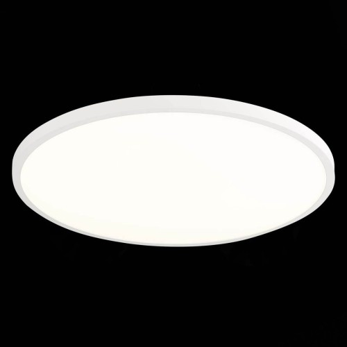 Настенно-потолочный светильник ST Luce ST601.542.48