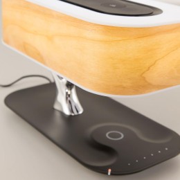 Настольная лампа Citilux Ньютон CL803042