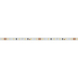 Светодиодная лента Arlight 9,6W/m 120LED/m 2216SMD теплый белый 5M 024414(2)