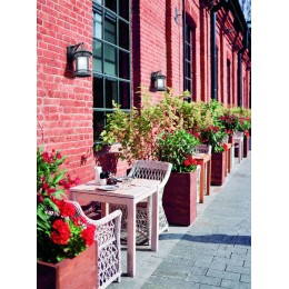 Бра Maytoni Salamanca O031WL-01BR