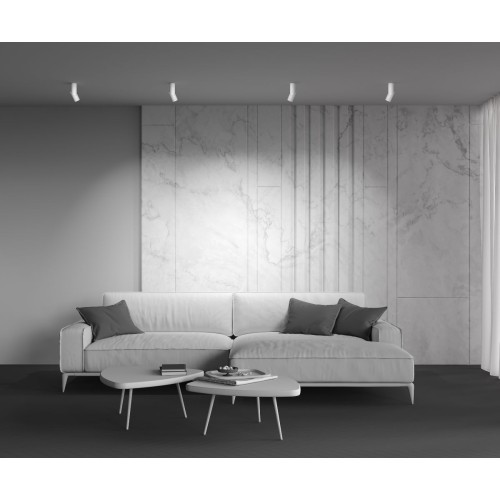 Светодиодный спот Maytoni Dafne C027CL-L10W 3000K