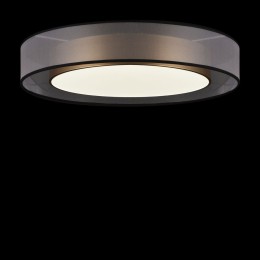 Потолочный светильник Freya Zoticus FR6005CL-L48G