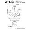 Люстра на штанге Citilux Нарда CL204180