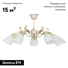 Потолочная люстра Vitaluce V1535/5PL