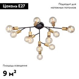 Потолочная люстра Vitaluce V4959-1/12PL