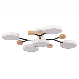 Люстра на штанге Evoluce Faema SLE6006-502-05