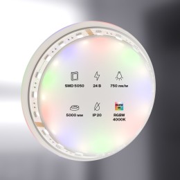 Светодиодная лента Maytoni Technical 24В 5050 19,2Вт/м RGBW 4000K IP20 10180