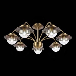 Потолочный светильник EVOLUCE GARONNI SLE110102-07