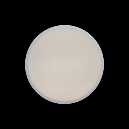 Потолочный светильник Loft IT AXEL 10002/12 White