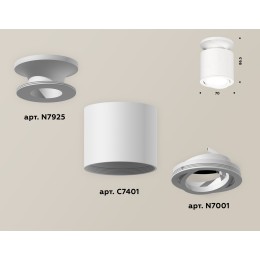 Накладной поворотный светильник Ambrella Light Techno XS7401061 (N7925, C7401, N7001)