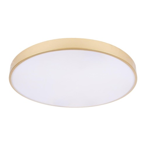 Потолочный светильник Loft IT Flims 10228/B