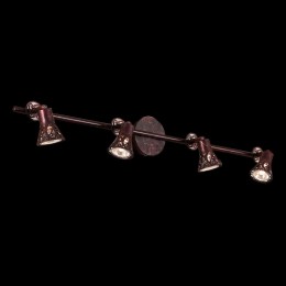 Спот Citilux Винон CL519544