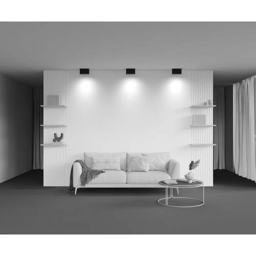 Накладной светильник Maytoni Atom C017CL-02B