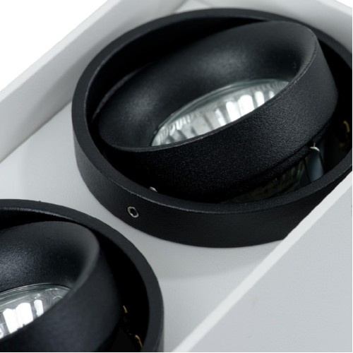 Потолочный светильник Arte Lamp A5655PL-2WH