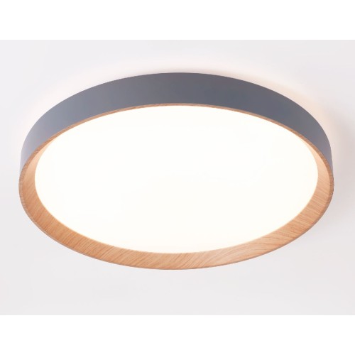 Потолочный светильник Ambrella Light Orbital Design FZ1322