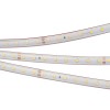 Светодиодная лента герметичная Arlight RTW-PS-A80-10mm 24V Day4000 6 W/m IP67 024518(2)
