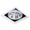Встраиваемый светильник Arte Lamp Merga A8450PL-1WH