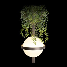 Настенный светильник Loft IT Jardin 10121W/B Dark grey