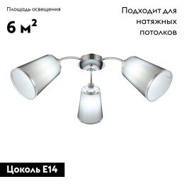 Потолочная люстра EVOLUCE MALEONTE SLE103002-03
