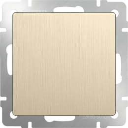 W1159210 Заглушка (шампань рифленый) Antik Werkel a051417