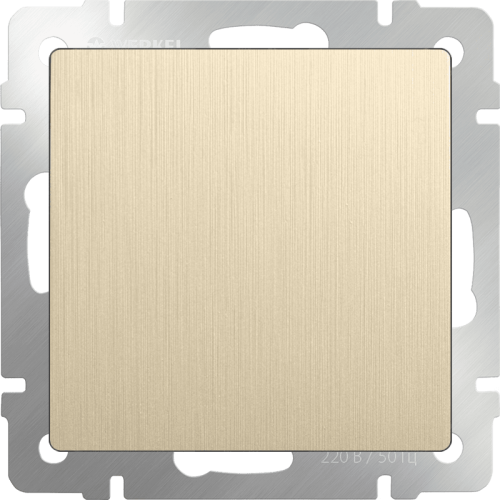 W1159210 Заглушка (шампань рифленый) Antik Werkel a051417