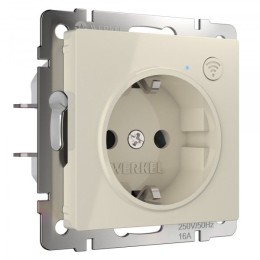 W1171603 Умная встраиваемая розетка с заземлением с защитными шторками слоновая кость Werkel a056421