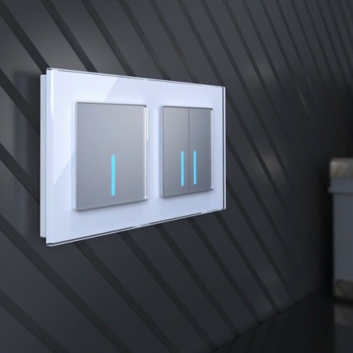 W4510006 Сенсорный выключатель одноклавишный с подсветкой 1000 Вт (серебряный) Werkel a057680