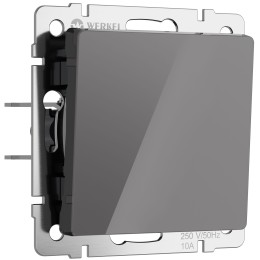 W1110044 Выключатель одноклавишный (графит акрил) Werkel a064074