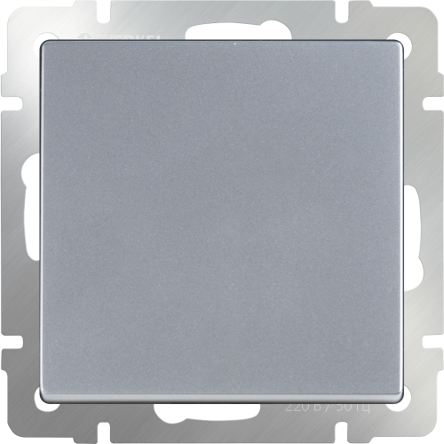 W1112006 Выключатель одноклавишный проходной (серебряный) Antik Werkel a051526