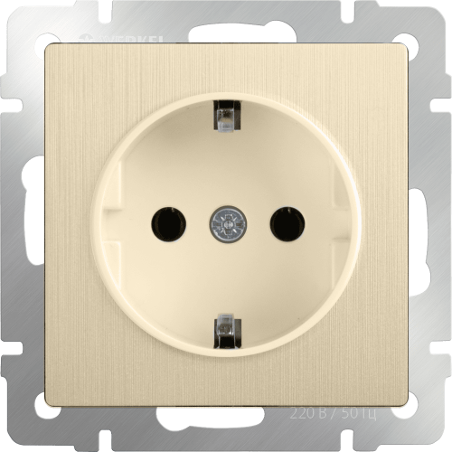 W1171110 Розетка с заземлением и шторками (шампань рифленый) Antik Werkel a051429