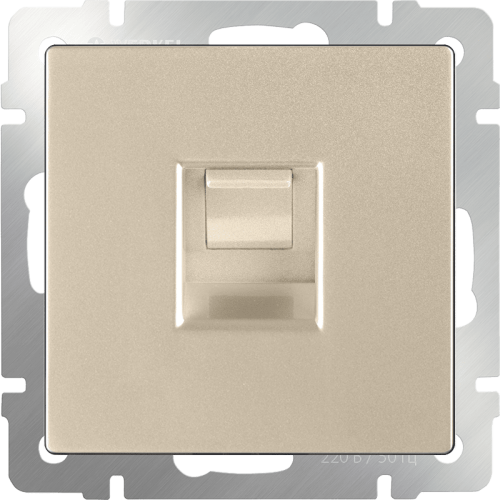 W1181011 Розетка Ethernet RJ-45 (шампань) Antik Werkel a050873