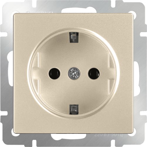 W1171011 Розетка с заземлением (шампань) Antik Werkel a050867