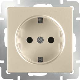 W1171111 Розетка с заземлением и шторками (шампань) Antik Werkel a050858