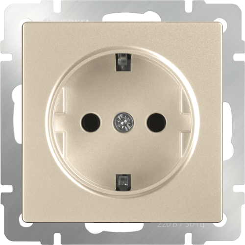 W1171111 Розетка с заземлением и шторками (шампань) Antik Werkel a050858