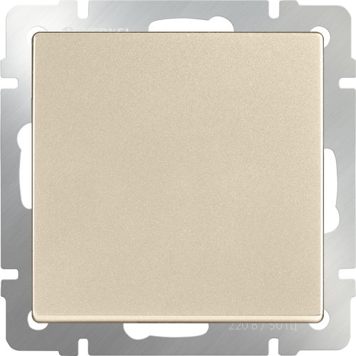 W1110011 Выключатель одноклавишный (шампань) Antik Werkel a050869