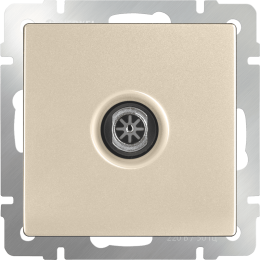 W1183011 ТВ-розетка оконечная  (шампань) Antik Werkel a050856