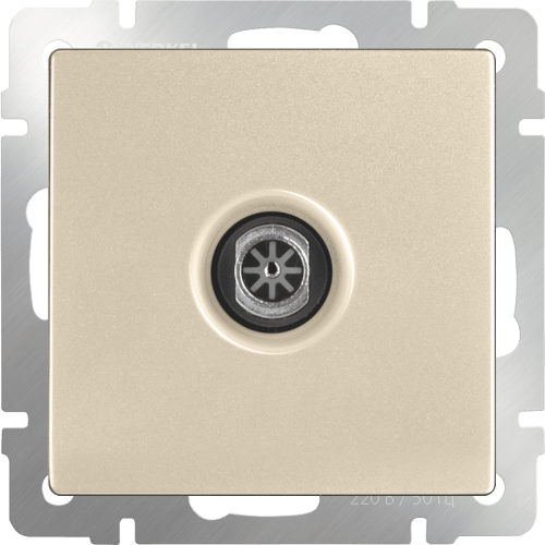 W1183011 ТВ-розетка оконечная  (шампань) Antik Werkel a050856