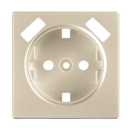 W1179511 Накладка для USB розетки (шампань) Antik Werkel a050854