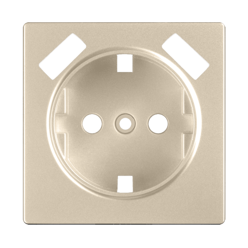 W1179511 Накладка для USB розетки (шампань) Antik Werkel a050854