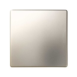 82010-34 Клавиша для одноклавишного выключателя, S82, S82N, шампань Simon