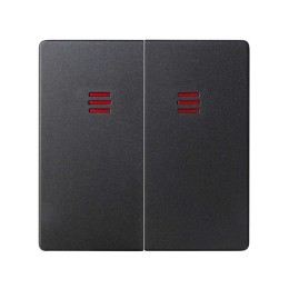 82025-38 Клавиши (2 шт) для двухклавишного выключателя с подсветкой, S82, S82N, S82 Detail, графит Simon