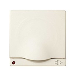 82099-31 Накладка с крышкой с защитными шторками и индикатором сети для двухполюсной розетки с заземляющим ко Simon