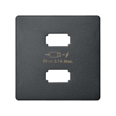 8211096-038 Накладка для зарядного устройства 2*USB, S82, S82N, S82 Detail, графит Simon 8211096-038 Накладка для зарядного устройства 2*USB, S82, S82N, S82 Detail, графит Simon