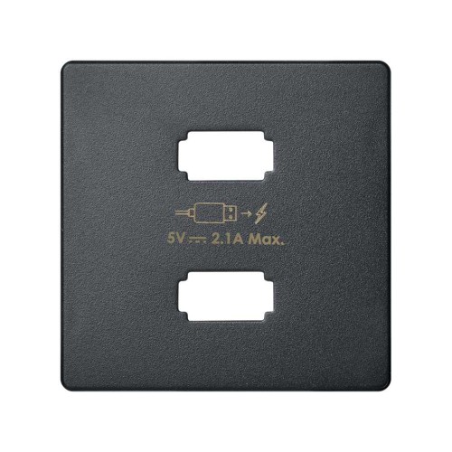 8211096-038 Накладка для зарядного устройства 2*USB, S82, S82N, S82 Detail, графит Simon